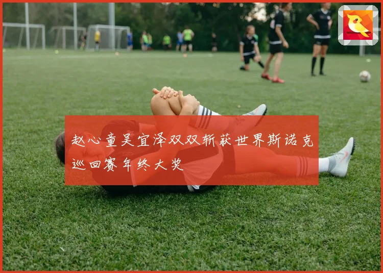 赵心童吴宜泽双双斩获世界斯诺克巡回赛年终大奖